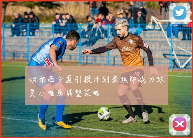 切尔西今夏引援计划聚焦即战力球员小幅度调整策略
